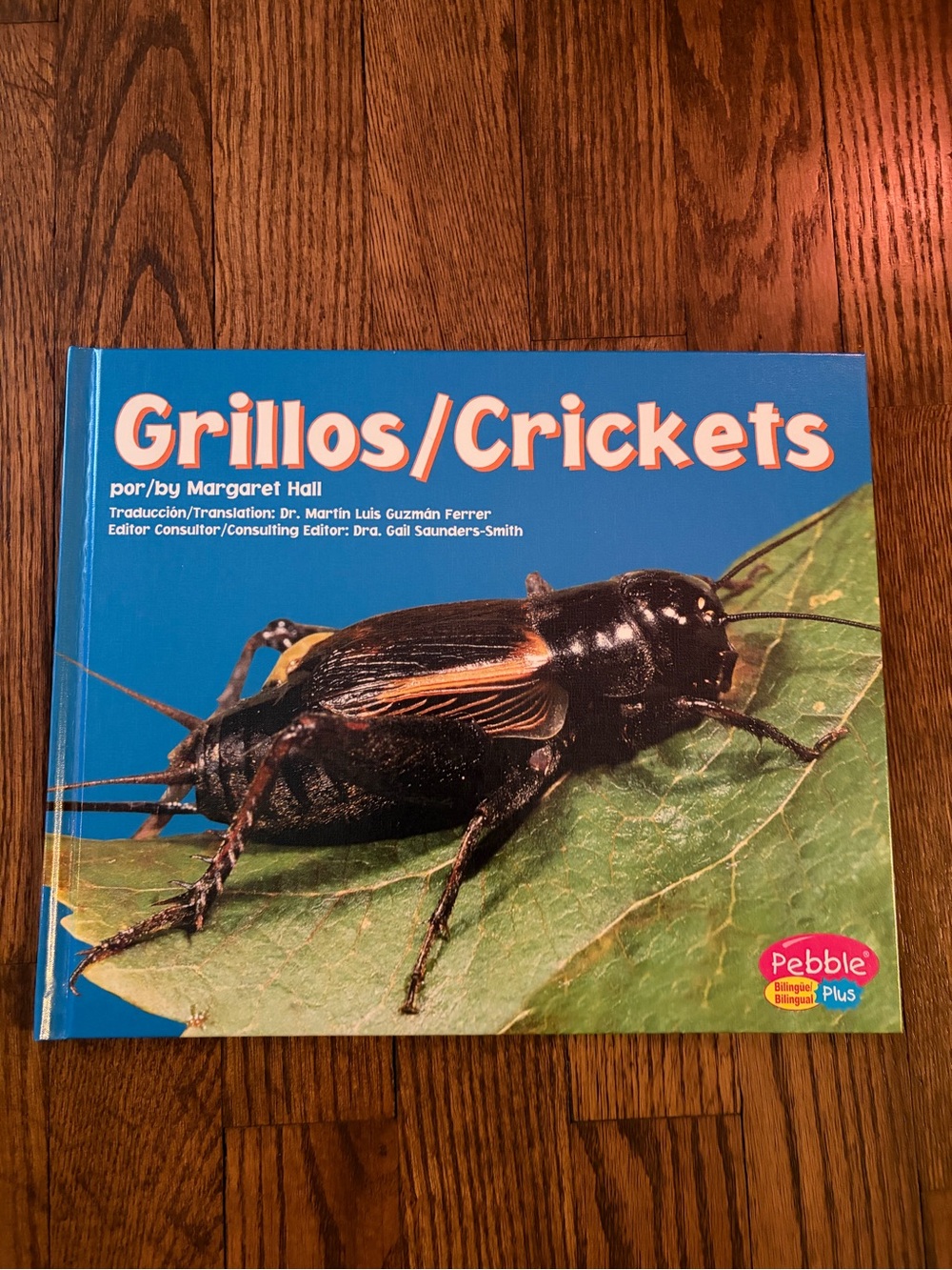Crickets Children’s Hardcover Photo Book Bilingual English Span